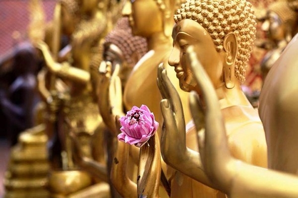 Lời Phật dạy: Sống vị tha là một trong những phép tắc đạo đức cao quý nhất!