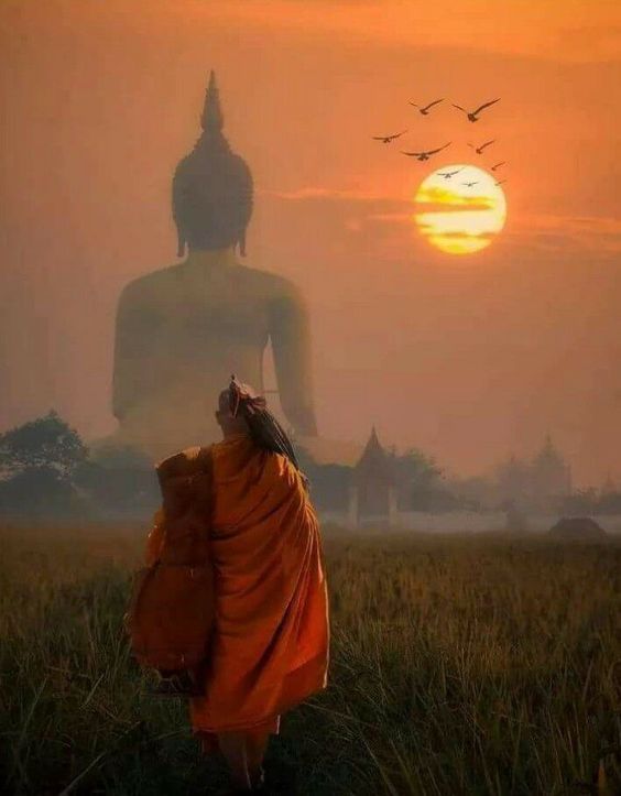 Sự hấp dẫn của đạo Phật 